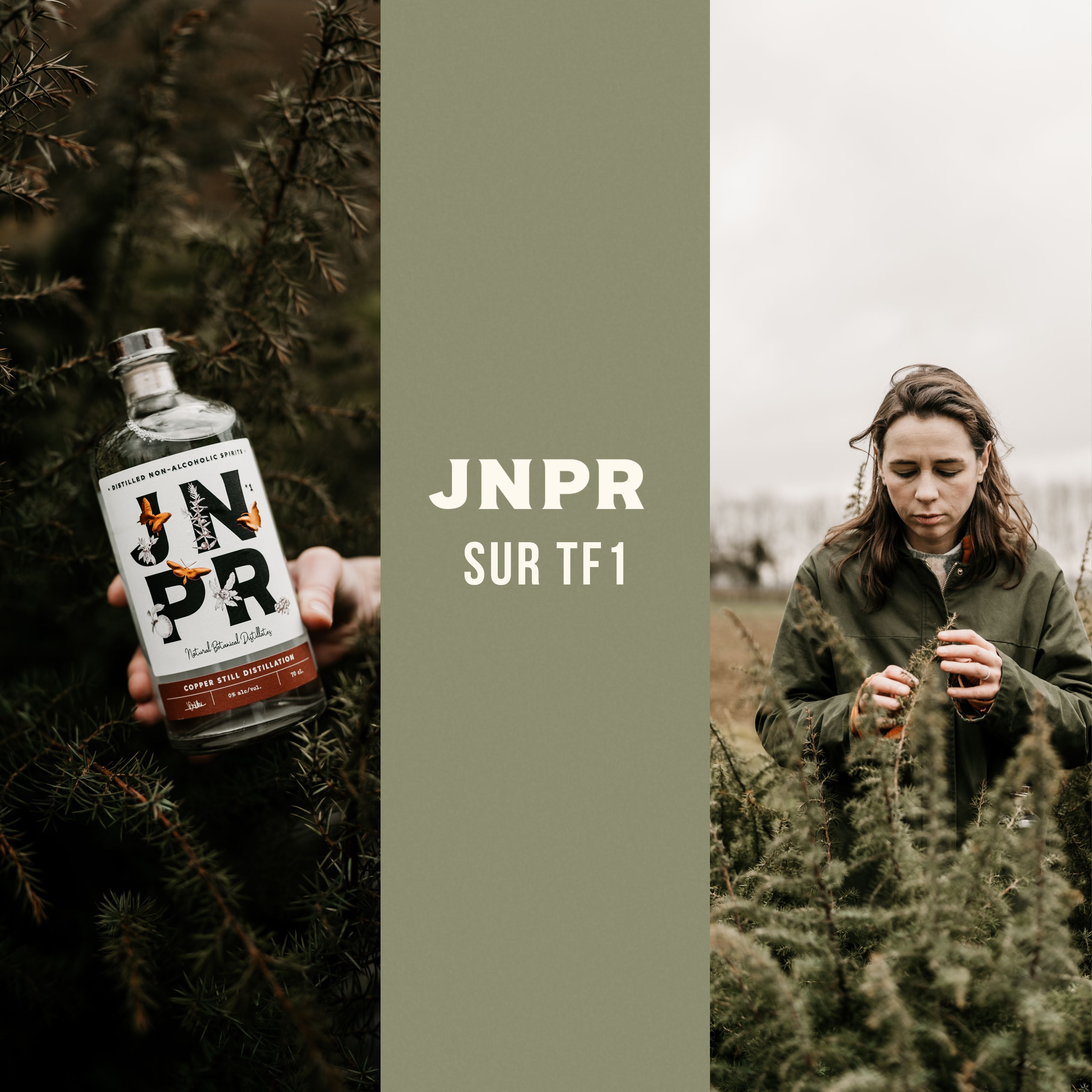 JNPR à l'honneur sur TF1 : le succès du sans alcool - JNPR