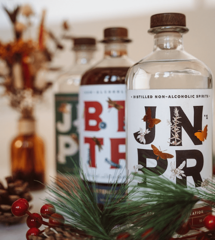 <div><span face="arial, sans-serif" color="#0000ff" style="color: #0000ff; font-family: arial, sans-serif;"><b>3 recettes de cocktails sans alcool pour les fêtes de Noël</b></span></div> <div></div>