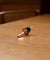 Bottle spout