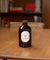 1 Elderflower syrup (Bacanha) with defect