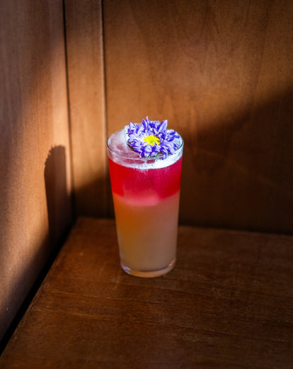 Livret Dry January 2026