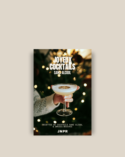 JNPRVotre cadeau 🎁 E - book de recettes : Spécial Fêtes