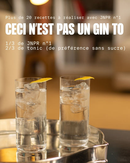 JNPR n°1 - Spiritueux sans alcool et sans sucre