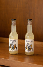 JNPR2 Ginger Beer sans sucre
